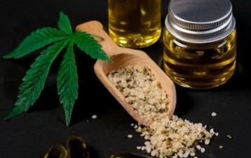 The cannabis industry in the IP arena