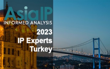 Turkey’s IP Experts