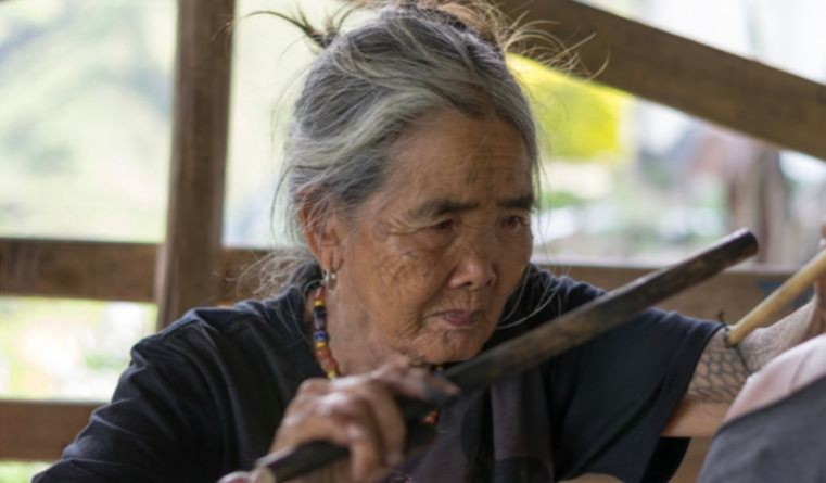 Traditional knowledge as IP