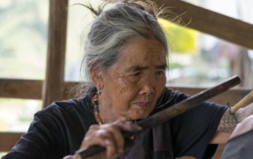 Traditional knowledge as IP