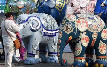 Elephant Parade: A Case Study of the Socio-economic Potential of a Strong IP Strategy