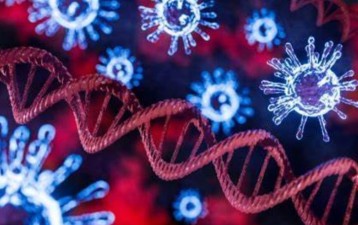 Lessons from the Covid-19 experience.