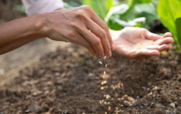 New Zealand produce business scores victory in China court