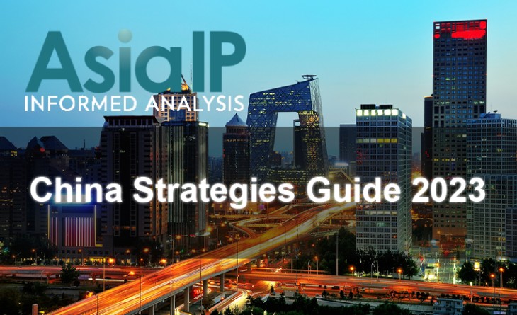 China Strategies Guide 2023