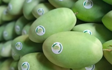 The Philippines embraces geographical indications