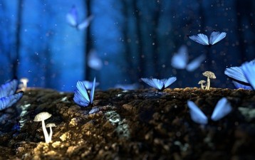 Indian Biodiversity Act and Model ABS Agreement-related IPR issues