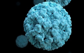 HilleVax secures licensing agreement with Chengdu Kanghua for norovirus vaccine