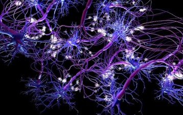 Copyright for works created by a neural network