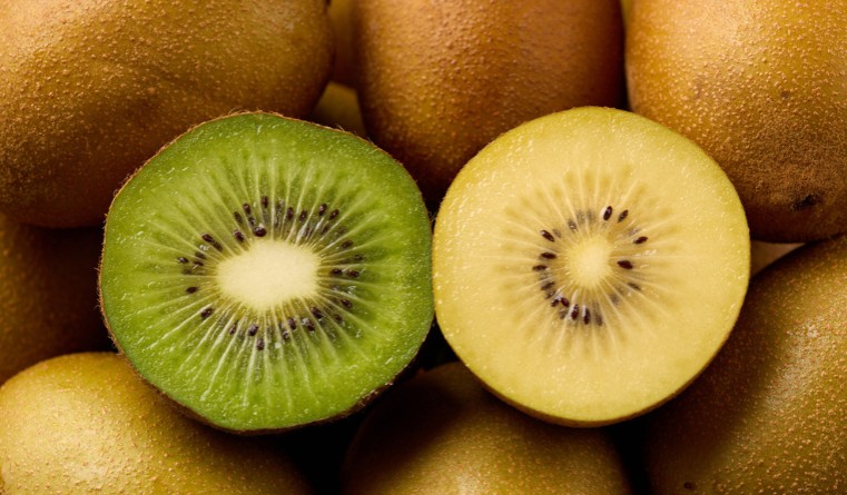 Plant variety rights infringement: World’s largest kiwifruit marketer wins case in China