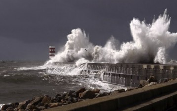 Counterfeits, Safe Harbour and Takedowns