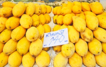 Thailand plans to add 22 products to GIs in 2025