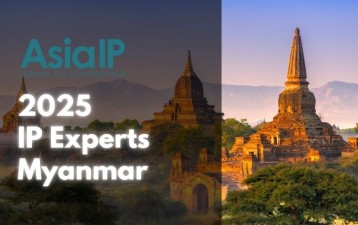 Myanmar’s IP Experts 2025