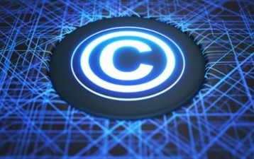 Singaporean photographer loses in Luxembourg plagiarism trial against local painter