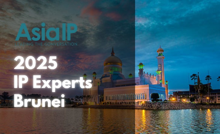 Brunei’s IP Experts 2025