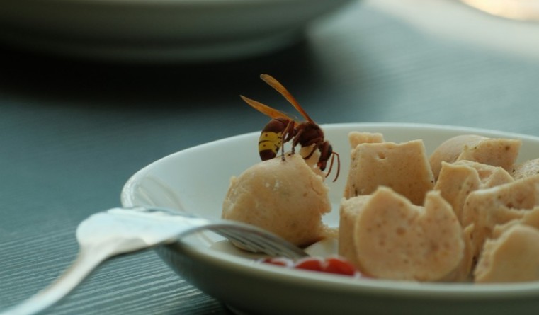 Sri Lankan entrepreneur secures UK trademark for pest-management framework