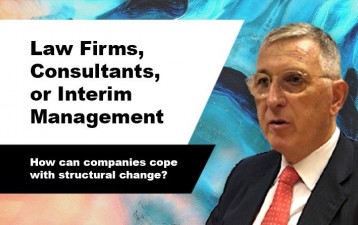 Law Firms, Consultants, and Interim Management: How can companies cope with structural change?