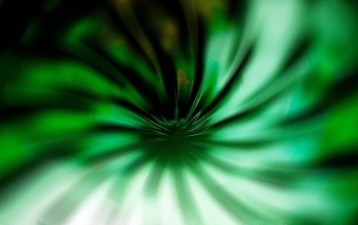 NZ trademark suit highlights issue of discrepancy between colour swatch and written description