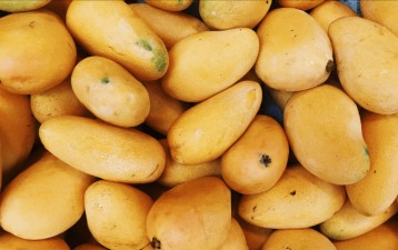 Ten products now up for GI registration in Pakistan