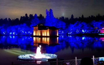 AIPPI 2024: Culture takes centre stage