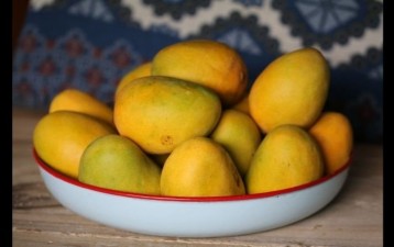 Harumanis GI mark only for mangoes grown in Perlis