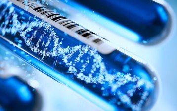 The controversial gene patent