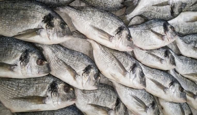 "Fish Selling Bro" files trademark application in China - until someone beats him to it