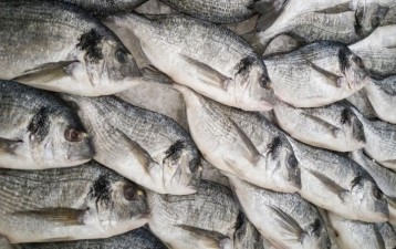 "Fish Selling Bro" files trademark application in China - until someone beats him to it