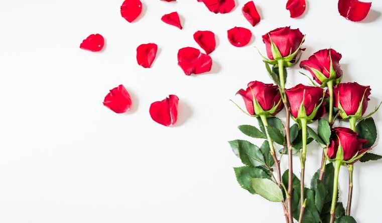 Roses are red, violets are blue: Protecting plant varieties