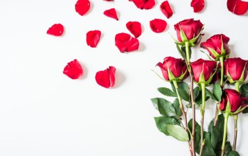 Roses are red, violets are blue: Protecting plant varieties