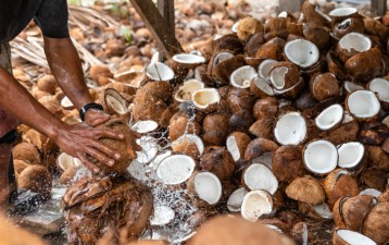 IPOPHL, partners boost Philippine agriculture