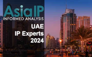 United Arab Emirates IP Experts 2024