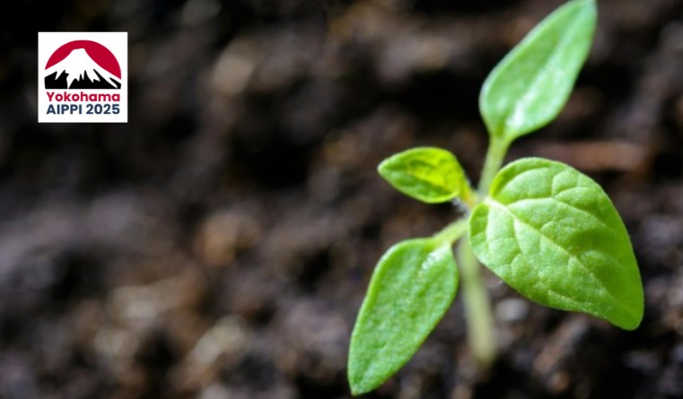 AIPPI 2025: The push for authentic sustainability