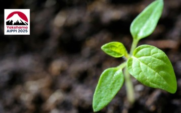 AIPPI 2025: The push for authentic sustainability