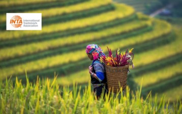 INTA 2025: WIPO indigenous rights treaty celebrated