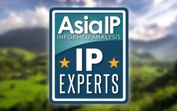 Vietnam's IP Experts 2020