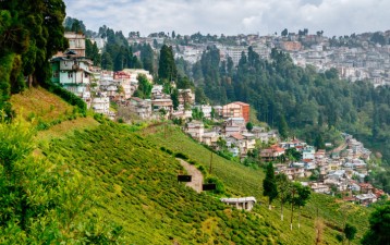 India’s target: 10,000 GI products by 2030