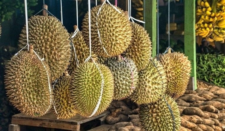Thailand-China sign deal promoting Thai fruit export