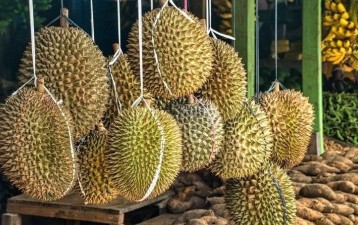Thailand-China sign deal promoting Thai fruit export