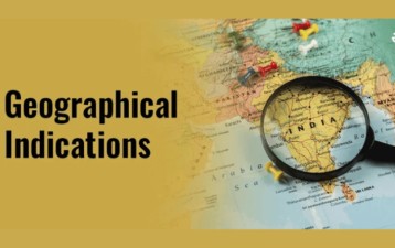 GI filings in India jump by 380 percent over five-year period