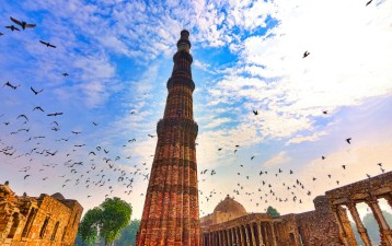 One registered design, two cancellation petitions, same prior art, different outcomes … and the appeal