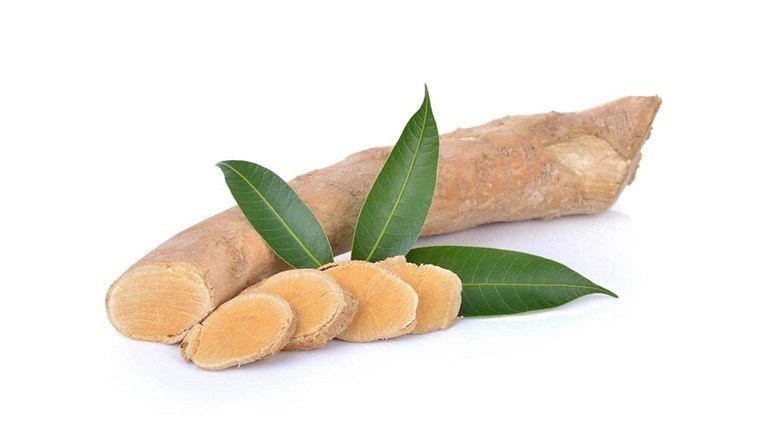 Tongkat Ali Extract supplier Yangge Biotech Tongkat Ali Extract supplier Yangge Biotech