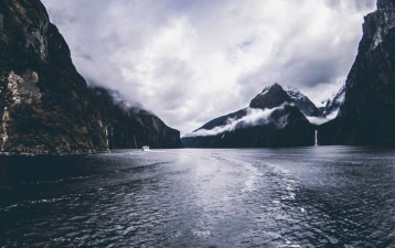 New Zealand businesses examining intellectual property assets, rights