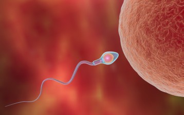 Giving birth to patents in IVG