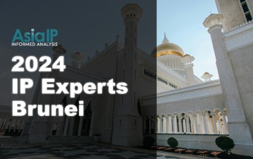 Brunei’s IP Experts 2024