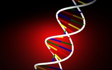 Leading regional firms create DNA