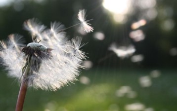 Resolutions for IP rights owners and lawyers