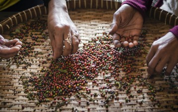 Cambodia officially thanks Korean experts for identifying GIs