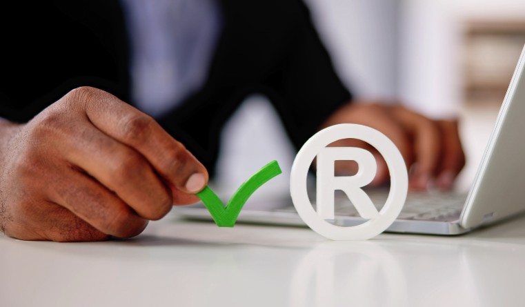 India: Trademark infringement between registered proprietors