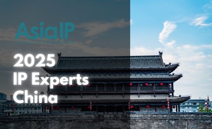 China’s IP Experts 2025