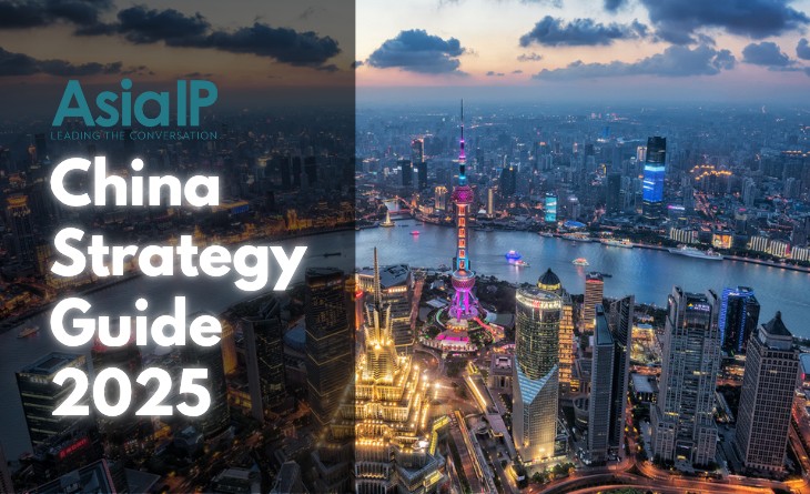 China Strategies Guide 2025